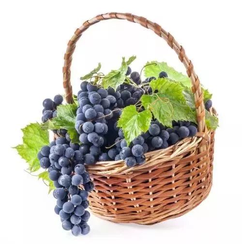 What are the key brain health benefits of pterostilbene?